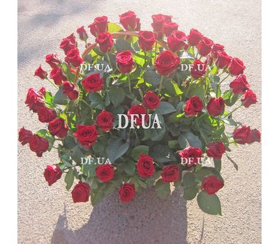 75 roses in a basket for an anniversary - view 3