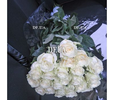 White roses import - view 1