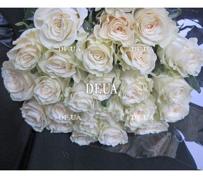 White roses import - view 2