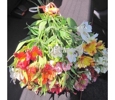 Nice bouquet of alstroemerias - view 1