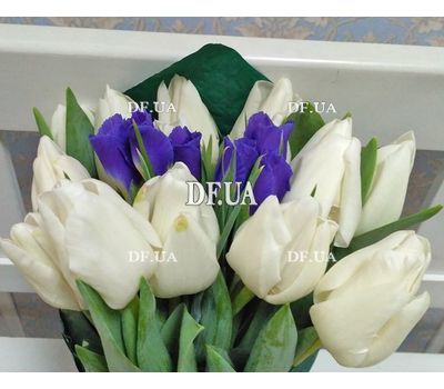 Bouquet of white tulips and blue irises - view 3