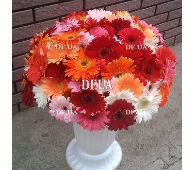 Bouquet of 101 gerberas - view 1