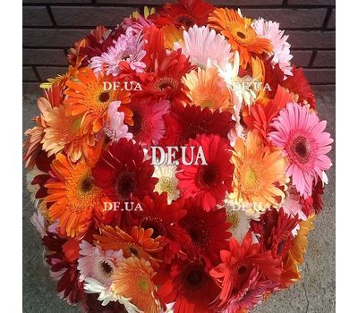 Bouquet of 101 gerberas - view 3
