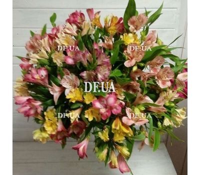 Bouquet of 25 alstromeries - view 1