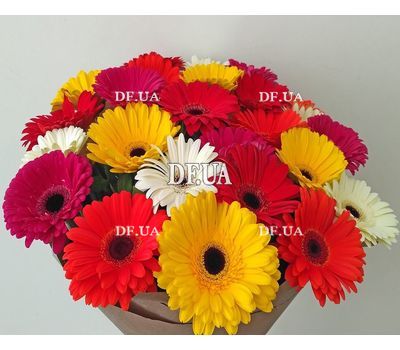 Bouquet of 25 gerberas - view 2