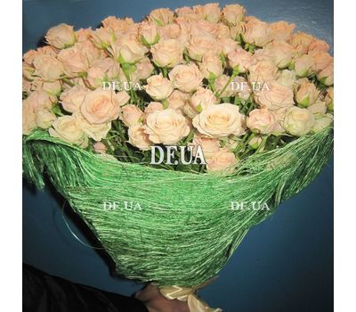 Bouquet of 25 cream spray roses - view 1