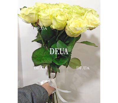 Bouquet of 25 roses of short - view 4