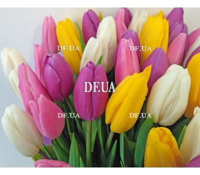 Bouquet of 51 tulips - view 3