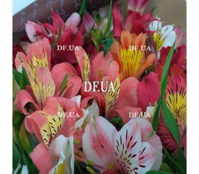 Bouquet of alstromeries - view 7