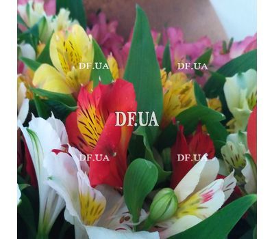 Bouquet of different color alstromeries - view 3