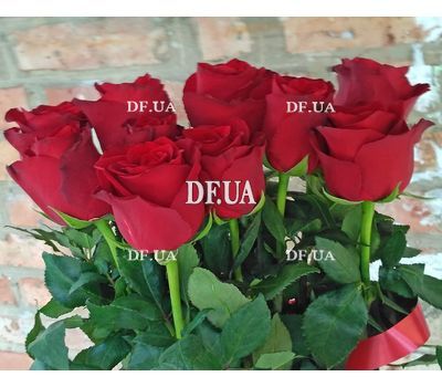 Bouquet of long roses - view 2