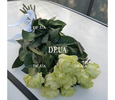 Bouquet of imported white roses - view 2