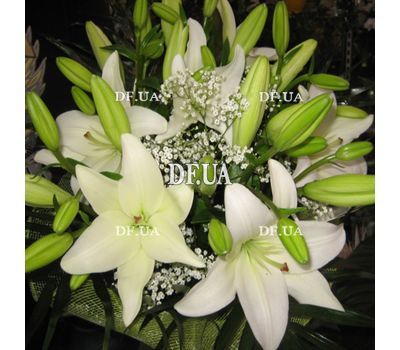 Simpatico bouquet of lilies - view 1