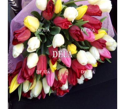 Bouquet of different color tulips - view 1