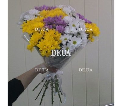 Bouquet of chamomile chrysanthemum - view 1
