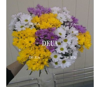 Bouquet of chamomile chrysanthemum - view 2