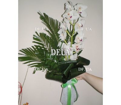Bouquet from a branch of a white orchid - view 1