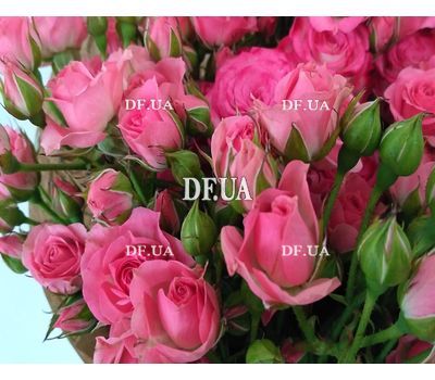 Bouquet of small pink shrub roses - view 3