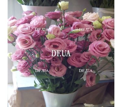 Bouquet of pink eustoma - view 1