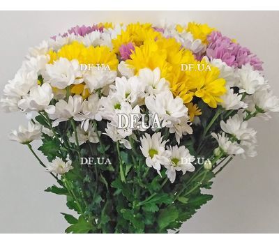Bouquet with chrysanthemum - view 2