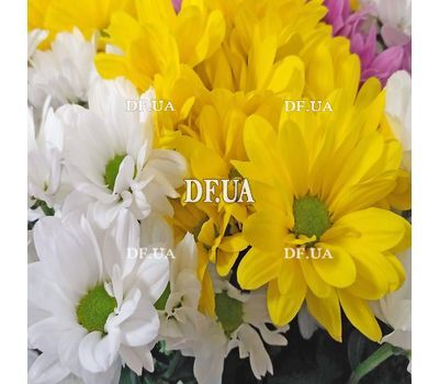 Bouquet with chrysanthemum - view 4