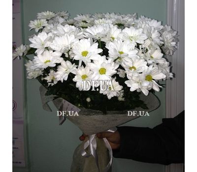 A bouquet of chamomiles - view 4
