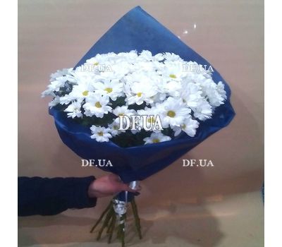 A bouquet of chamomiles - view 5