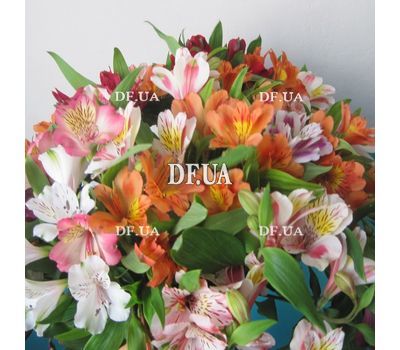 Alstroemeria flowers in bouquet - view 5