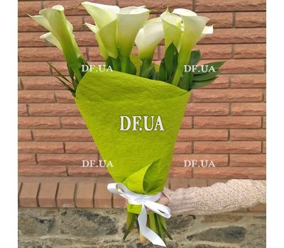 Flowers callas buy - view 1