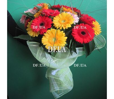 Gerberas buy bouquet - view 1