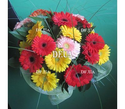 Gerberas buy bouquet - view 2