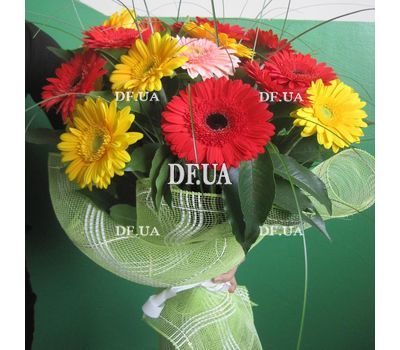 Gerberas buy bouquet - view 3