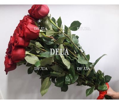 Imported roses with large buds - view 2