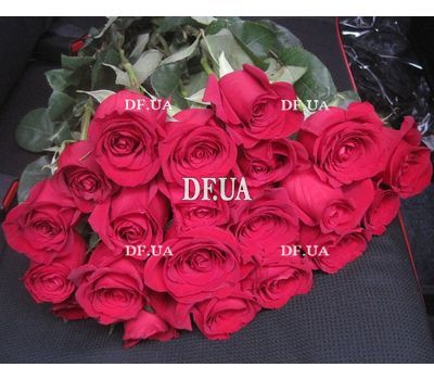 Imported roses with large buds - view 3