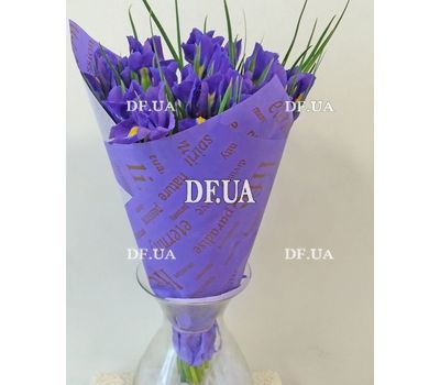 Irises purple - view 1
