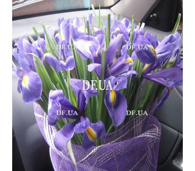 Irises purple - view 4