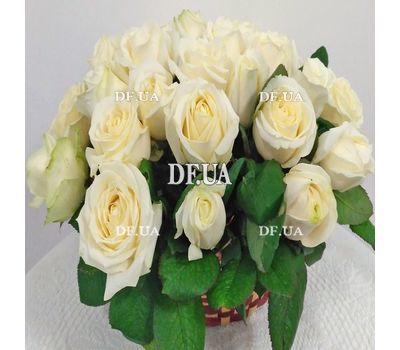 Basket of white roses with greens - view 2