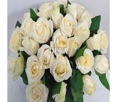 Basket of white roses with greens - view 3