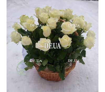 Basket of white roses with greens - view 6