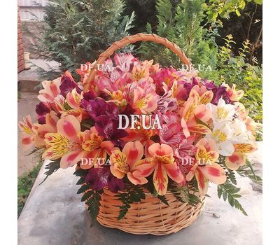 Basket of 25 Alstroemeria - view 1