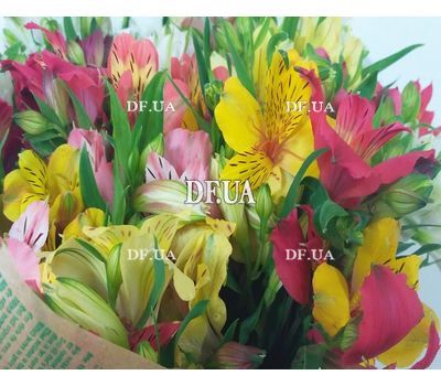 Beautiful bouquet of alstroemerias - view 3