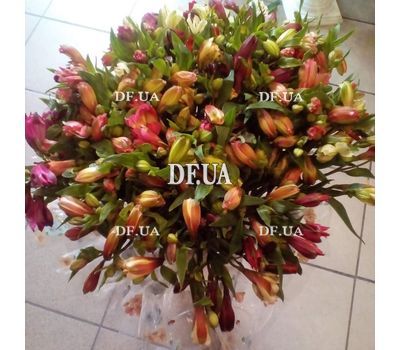 Beautiful bouquet of alstroemerias - view 4
