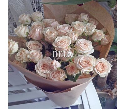 Large bush roses - view 1