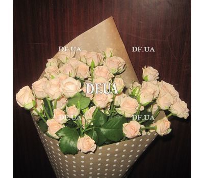 Large bush roses - view 2