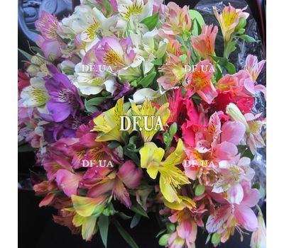 Buy bouquet of alstroemerias - view 1
