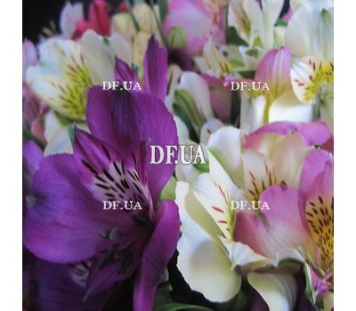 Buy bouquet of alstroemerias - view 3