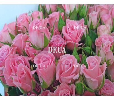 A small bouquet of pink roses - view 4