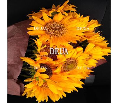 Sunflowers buy - view 2