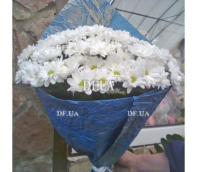 Ромашки білі букет - вид 6