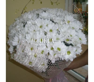 Chamomile in a bouquet - view 1